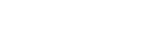 logo-naemt-1